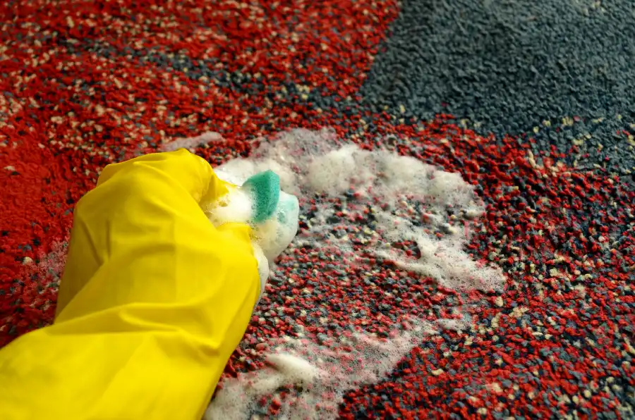 Affordable Carpet Cleaning in Corona, CA Affordable Carpet Cleaning in Corona, CA
