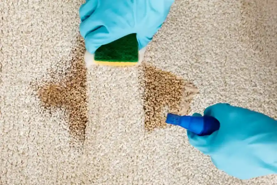Reputable Carpet Cleaning Corona, CA Reputable Carpet Cleaning Corona, CA