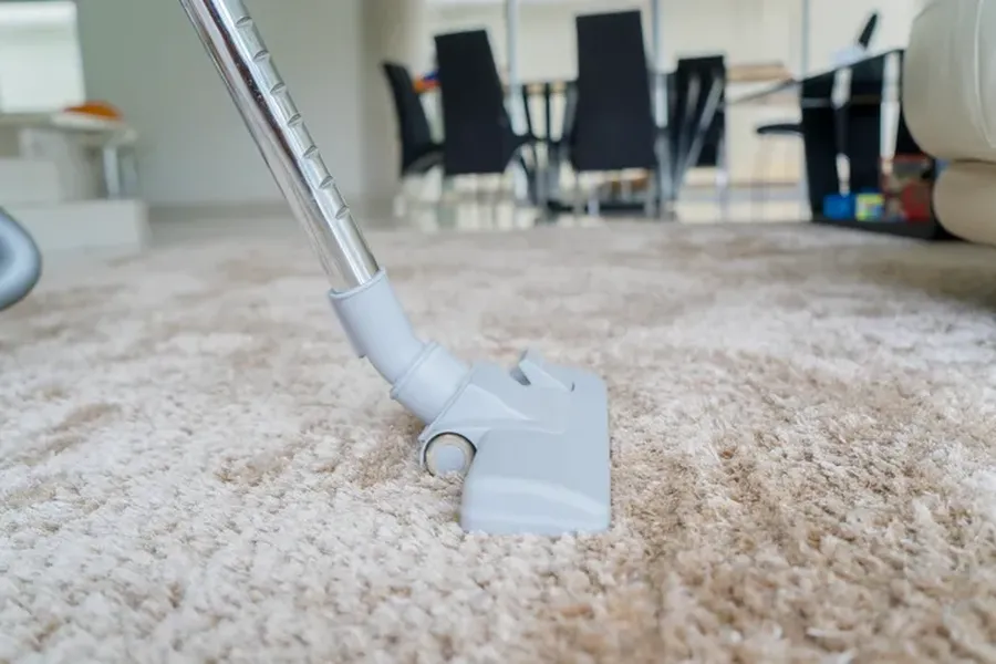 Why Carpet Cleaning Is Essential For A Healthy Workplace in Corona, CA